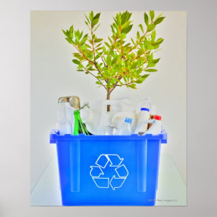 Poster Petit arbre