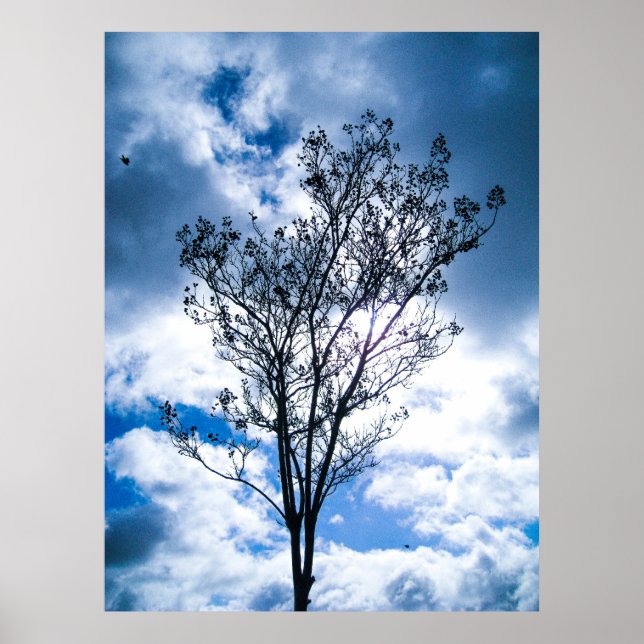 Poster Petit arbre grand monde (Devant)