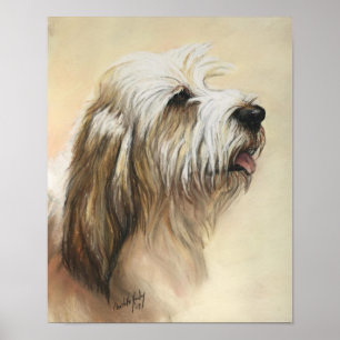 Poster Petit Basset Griffon Vendeen Chien Art Imprimer