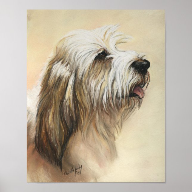 Poster Petit Basset Griffon Vendeen Chien Art Imprimer (Devant)