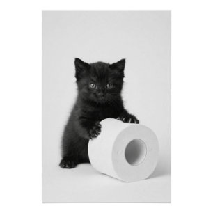 Poster Petit chaton noir gardant un rouleau de papier toi