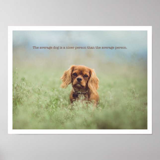 Poster Petit chiot (Devant)