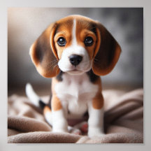 Petit chiot beagle aux beaux yeux