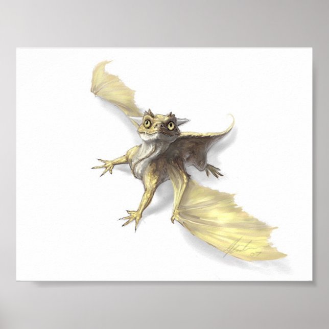 Poster Petit dragon (Devant)