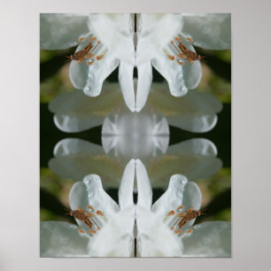 Poster Petit Grasshopper Sur Blanc Azalea Flower Abstrait