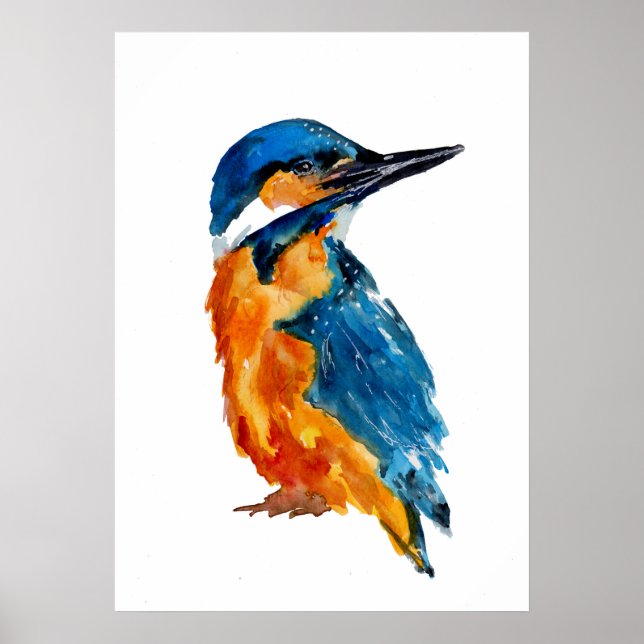 Poster Petit martin pêcheur Bird (Devant)