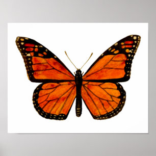 Poster Petit papillon monarque