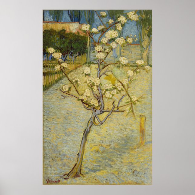 Poster Petit poirier en fleurs par Vincent Van Gogh (Devant)
