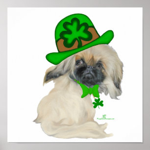 Poster Petit Saint-Patrick de Pékin
