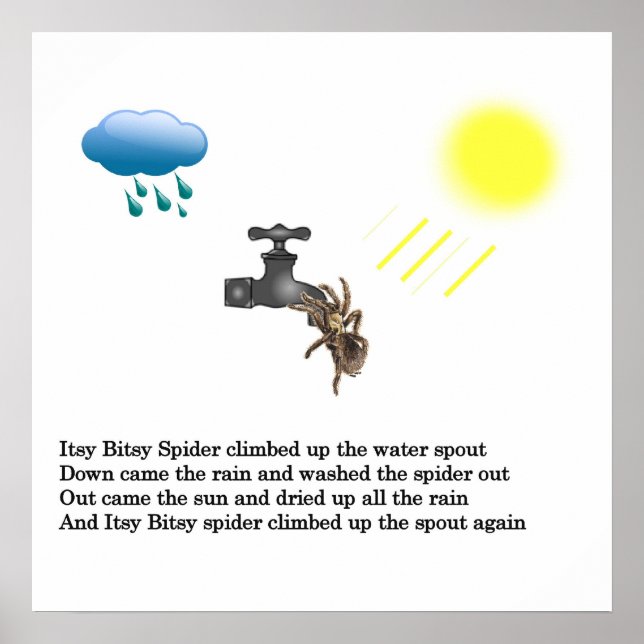 Poster Petite araignée (Devant)