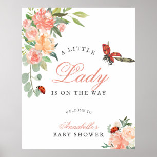 Poster Petite Dame Coccinelle Roses Fille Baby Shower Bie