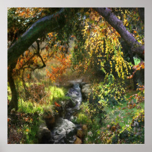 POSTER PETITE FORÊT RIVIÈRE MOYENNE