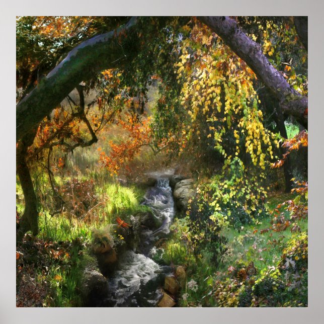 POSTER PETITE FORÊT RIVIÈRE MOYENNE (Devant)