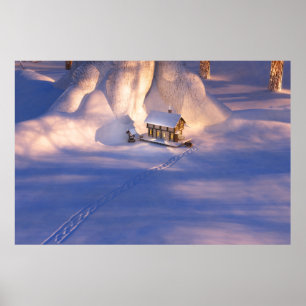 Poster Petite maison dans la neige
