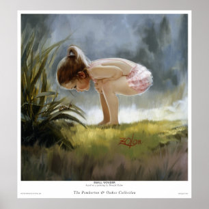 Poster Petite merveille