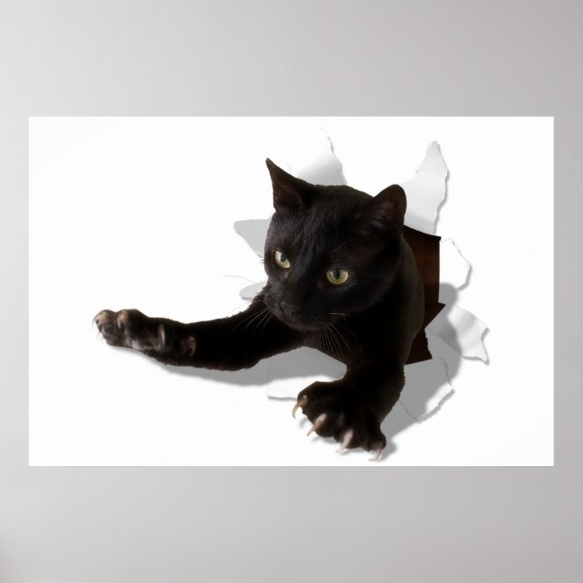 Poster petite panthère (Devant)