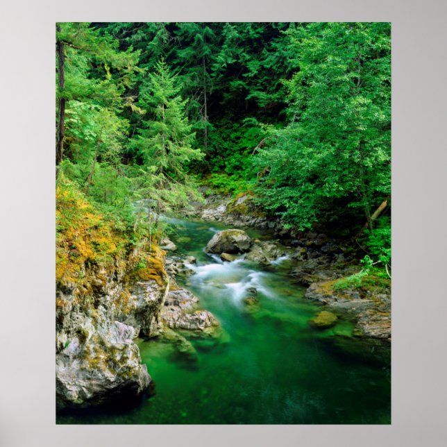 Poster Petite rivière Qualicum (Devant)