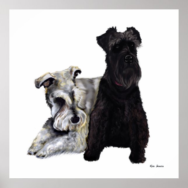 Poster Petites camarades Schnauzer (Devant)