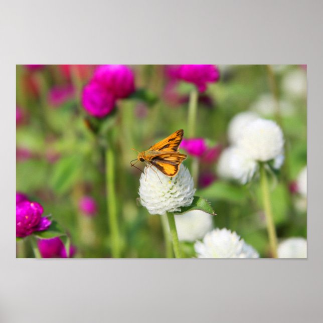 Poster Petites charges 1 (Devant)