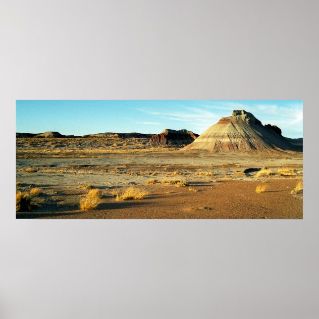 Poster Petrified Forest Desert Arizona Paysage Photo (Devant)
