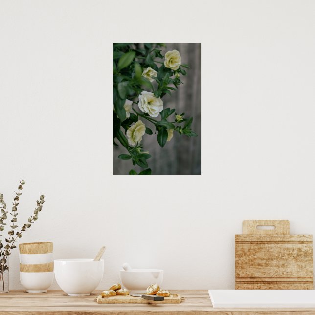 Poster Petunias jaune pâle vintage (Cuisine)