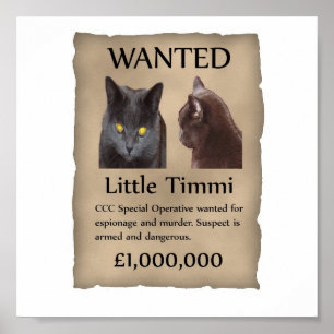 Poster Peu de Timmi a voulu l'affiche