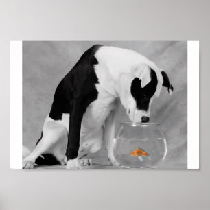 Poster Peut-être quelque chose à manger ?