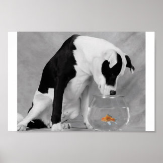 Poster Peut-être quelque chose à manger ?
