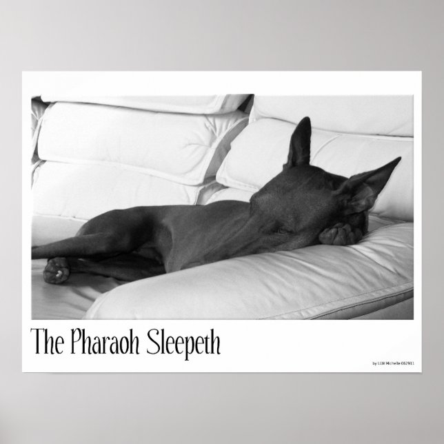 Poster Pharaon Hound | Pharoah Sleepeth (Devant)