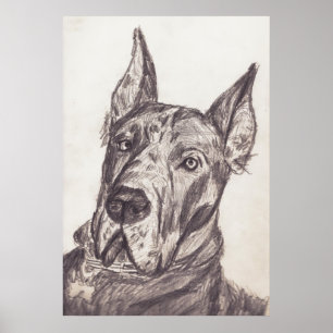 Poster pharoah sk3 str