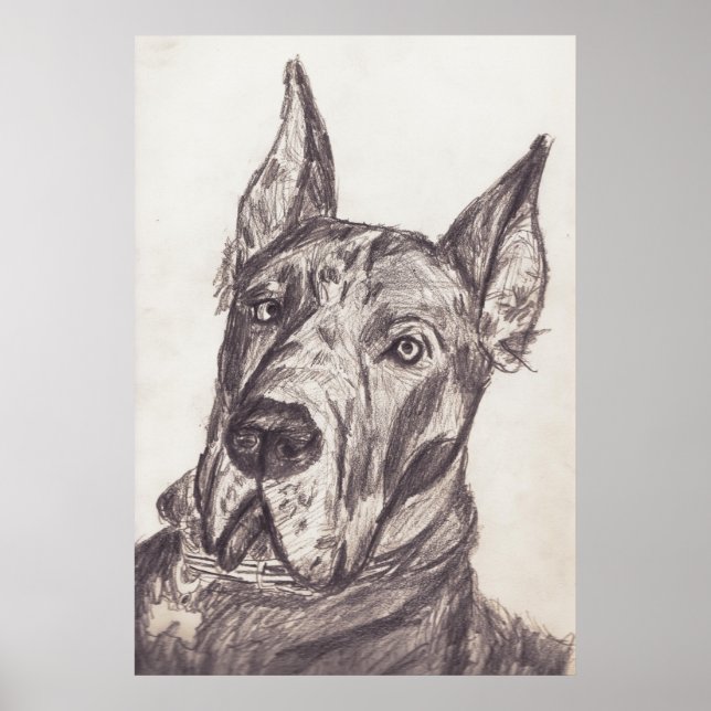 Poster pharoah sk3 str (Devant)