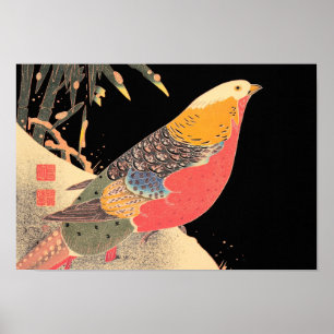 Poster Phéasant d'or dans l'art ornithologique Snow Itô J