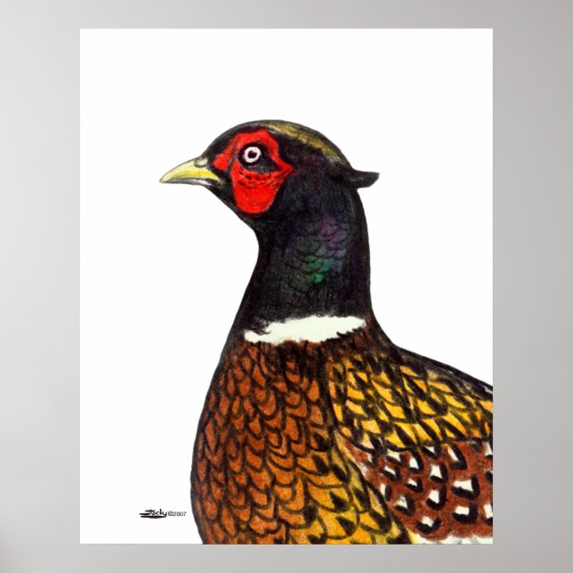 Poster Pheasant : Tête de Ringneck (Devant)
