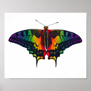 Poster Philadelphie Rainbow Pride Flag Swallowtail