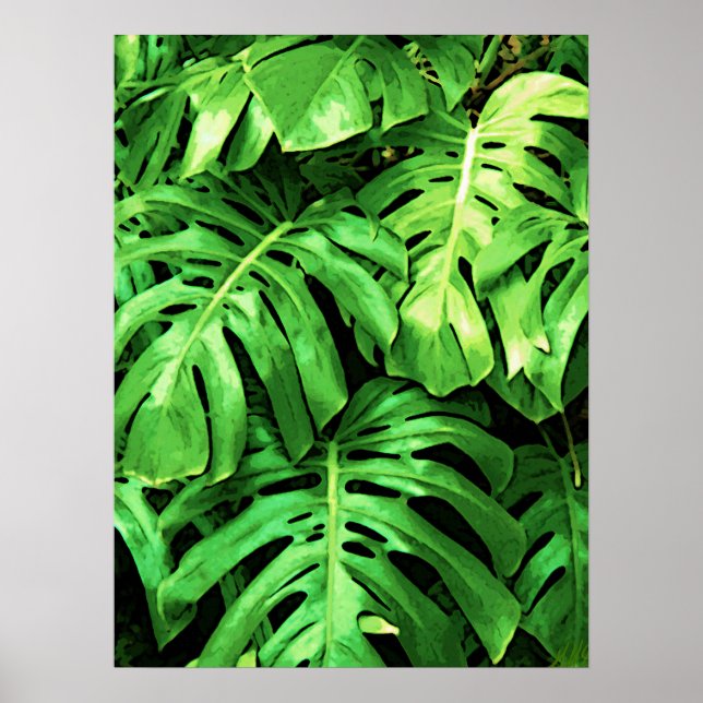 Poster Philodendron en feuille de Feuille tropicale, vert (Devant)