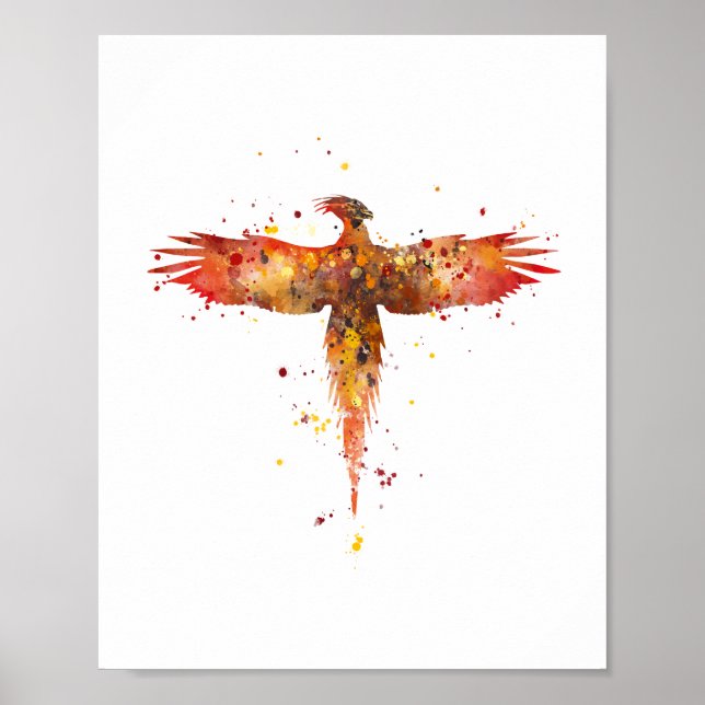 Poster Phoenix (Devant)