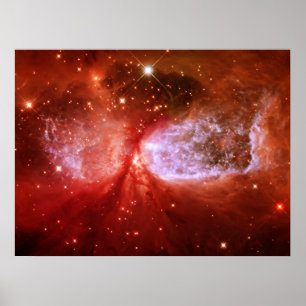 Poster Phoenix