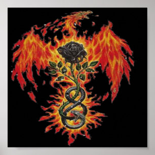 Poster Phoenix