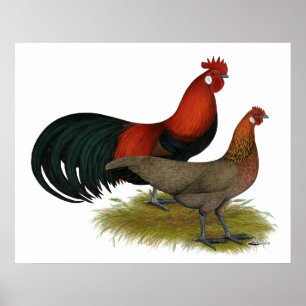 Poster Phoenix : BB Red Pair