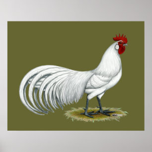 Poster Phoenix : Coq blanc