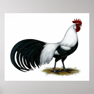 Poster Phoenix : Coq de canard argenté