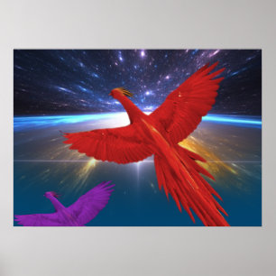 Poster Phoenix dans l'espace