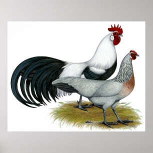 Poster Phoenix : Paire de caniche en argent