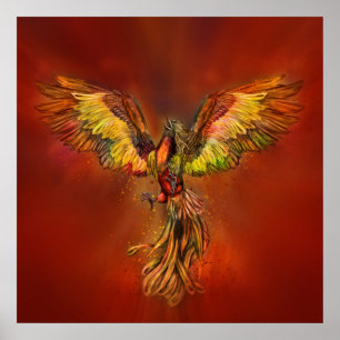 Poster Phoenix Rising - red sky
