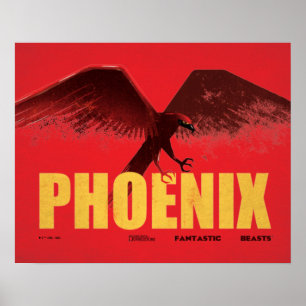 Poster Phoenix Vingate Graphic