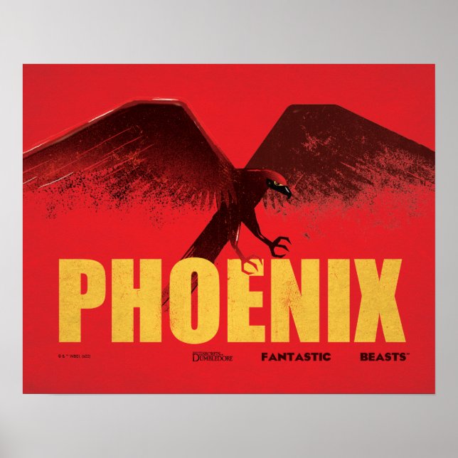 Poster Phoenix Vingate Graphic (Devant)