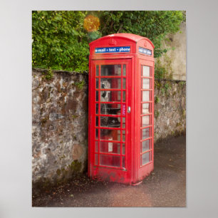 Poster Phonebooth