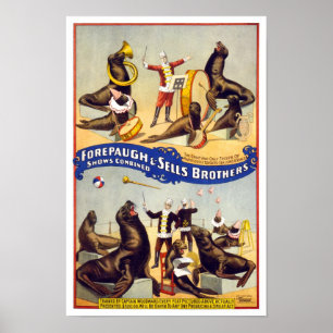 Poster Phoques de cirque merveilleusement dressés, 1899. 