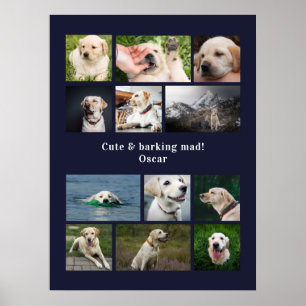 Poster Photo 12 chien moderne collage personnalisé