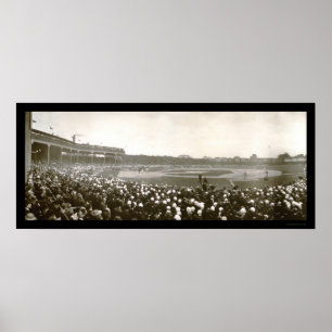 Poster Photo 1907 de série de CUB de tigres